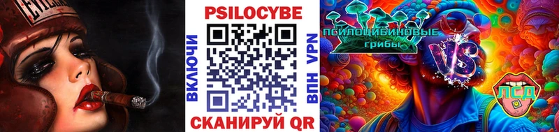 Галлюциногенные грибы Cubensis  наркота  Алагир 